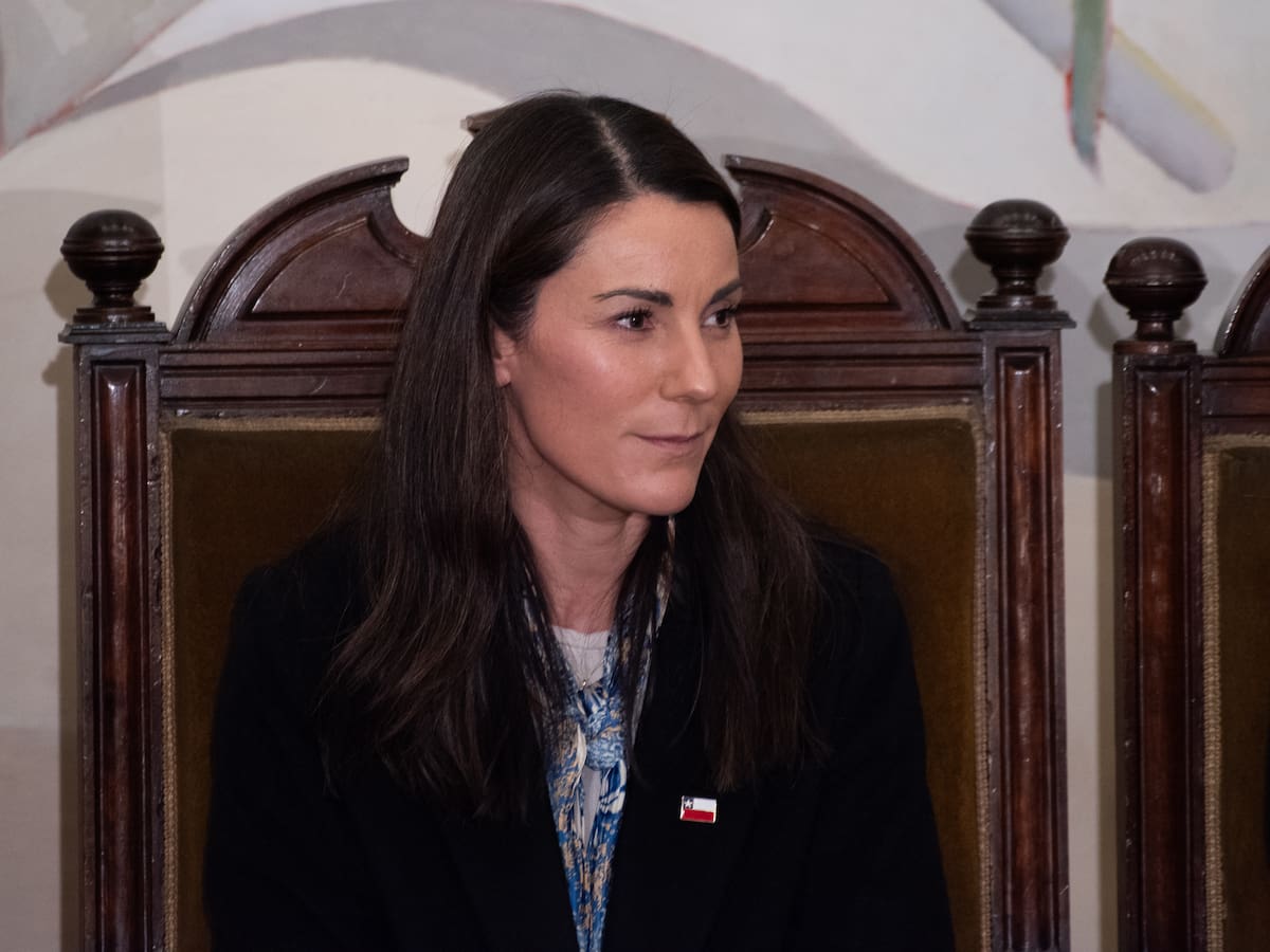 Gobierno defiende “Escuelas Protegidas” tras dictamen del TC y espera fallo completo: “Nuestro objetivo sigue siendo el mismo”