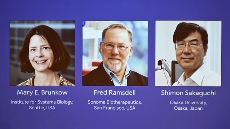 Los “guardianes del cuerpo”: los científicos que ganaron el Nobel de Medicina 2025 por descubrir cómo el sistema inmune se protege de sí mismo