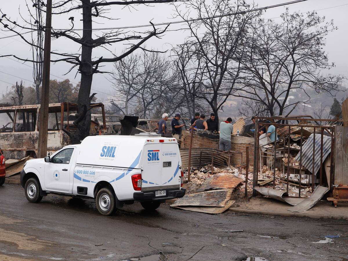 Subsecretario de Justicia y trabajos de búsqueda en zonas afectadas por incendios: “Hoy los equipos estarán en dos zonas específicas”