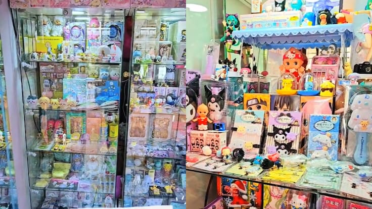 Confirman nuevo cierre de tienda en Santiago: traía artículos exclusivos de Japón