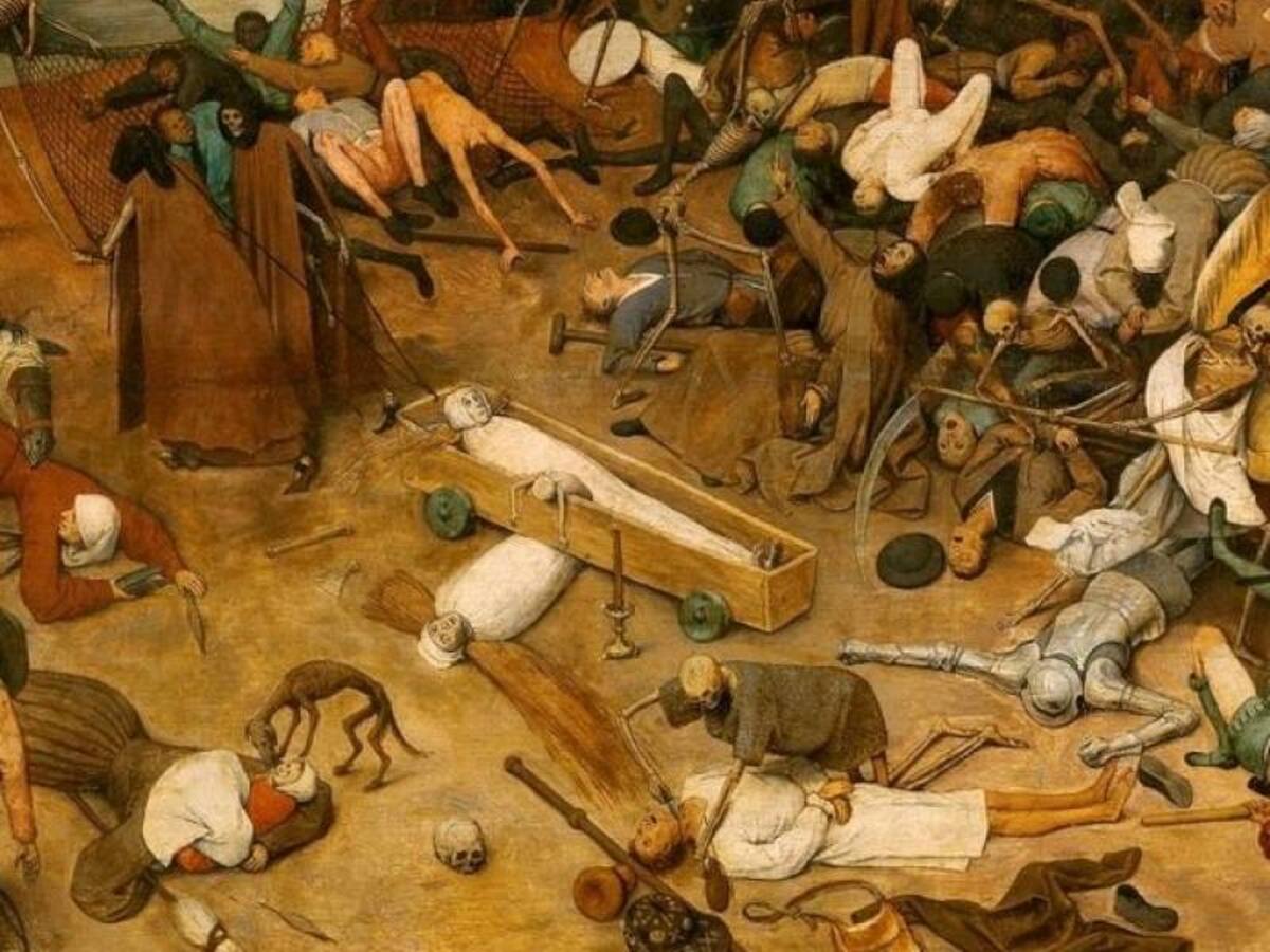 Antes del coronavirus: «Ciudadano a pata» recordó el brote de peste negra que azotó Chile en el siglo XX