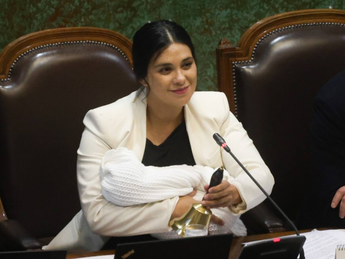 Allanamiento a Cariola: fiscal niega versión de pareja de la diputada y dice que “es falso” que había un carro de la PDI fuera del hospital