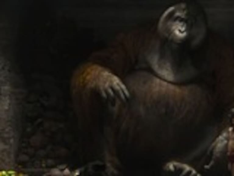 Publicaron nuevas imágenes del rey Louie y Bagheera en «El libro de la selva»