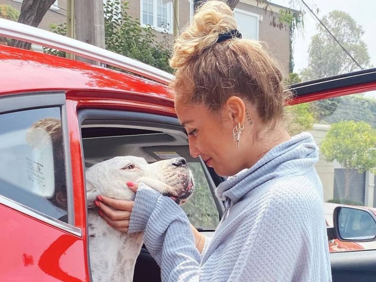«Mi gordo ya no daba más y decidimos que descansara»: murió el perro de Dani Castro tras una lucha contra el cáncer