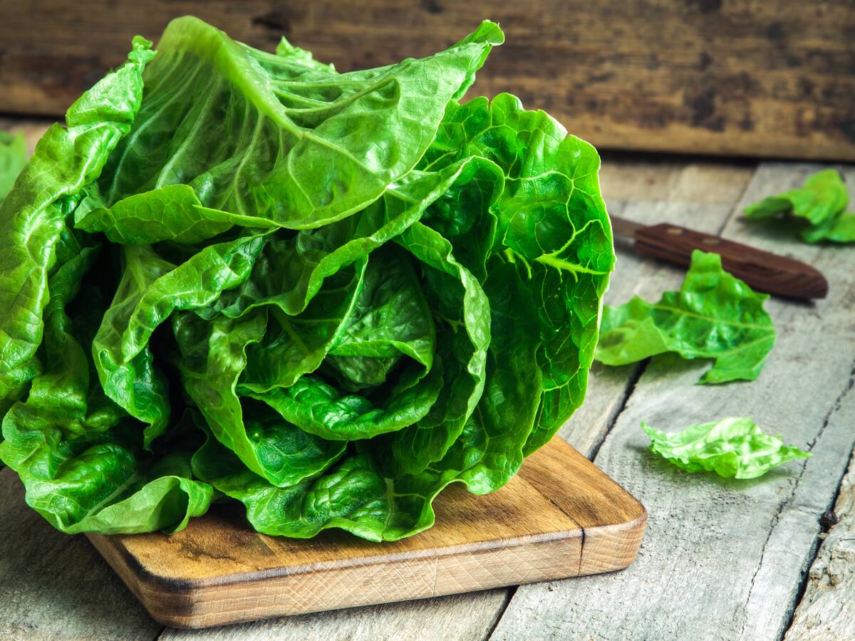 Ni en papel aluminio, ni en una bolsa cerrada: esta es la mejor forma de guardar la lechuga para mantenerla fresca por más tiempo