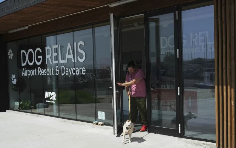 IG: @dog.relais