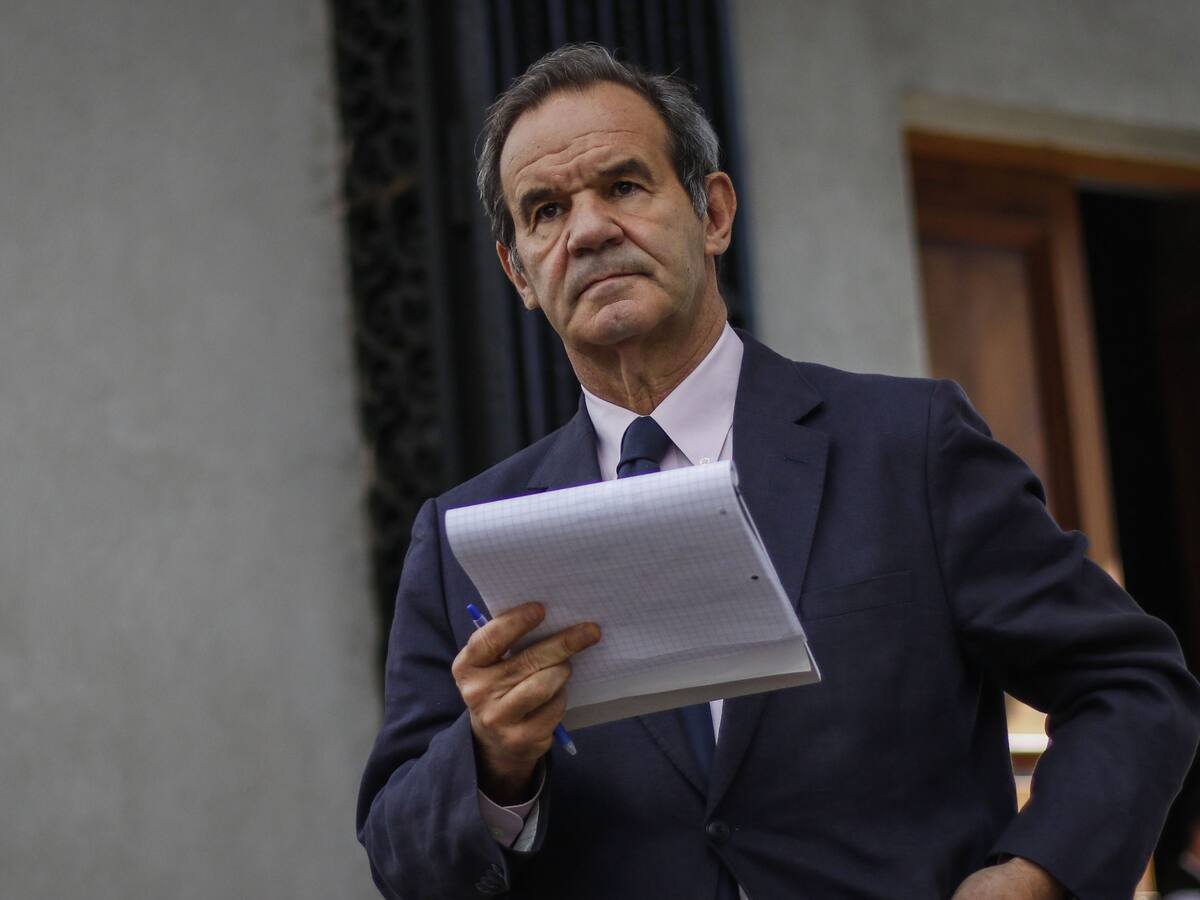Canciller Allamand aseguró que autoridades argentinas fueron informadas sobre los límites australes