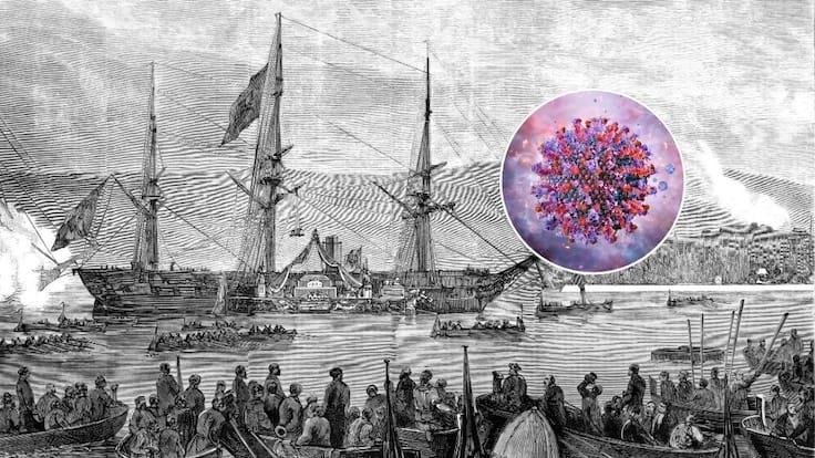 ¿Fue desde Europa? Histórico hallazgo en Chile confirma cómo llegó la viruela a América