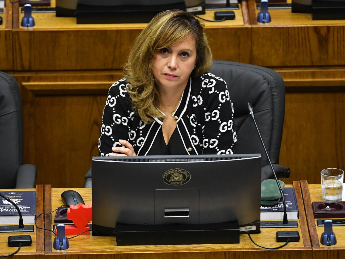 Senadora Carvajal (PPD) defiende acuerdo por la megarreforma y advierte: “Ir al TC es una ruleta rusa”