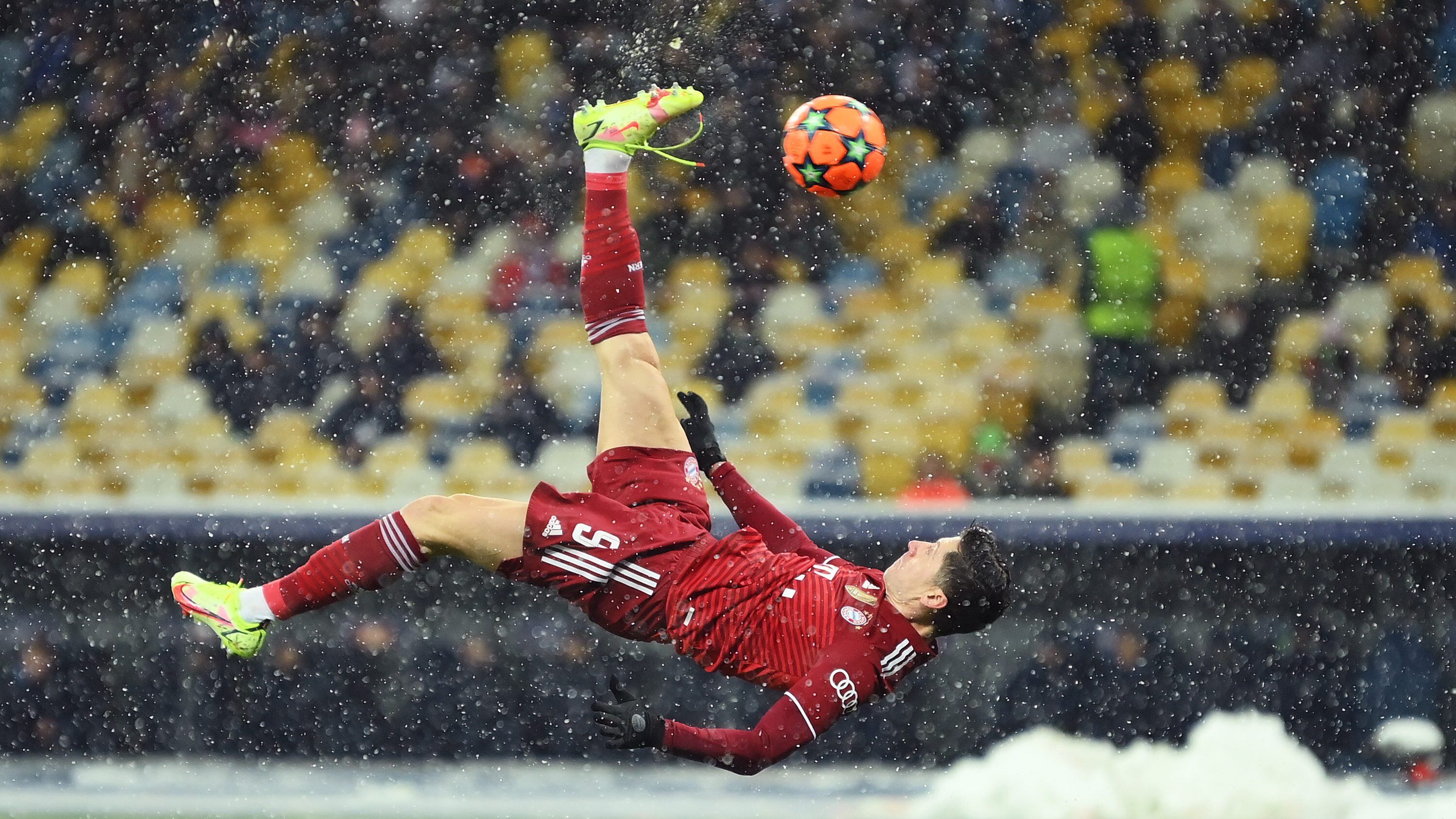 Lewandowski chilena