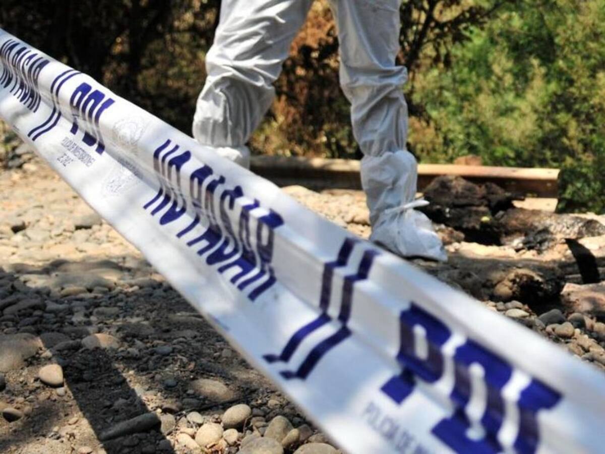 Quiso enterrar a su perro y terminó encontrando restos de un cuerpo en su patio: el escabroso hallazgo de una mujer en Osorno