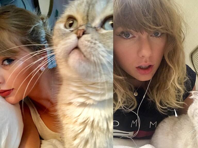 ¿Cuántos millones cuesta la gata de Taylor Swift? Está en el tercer lugar de las mascotas más ricas del mundo