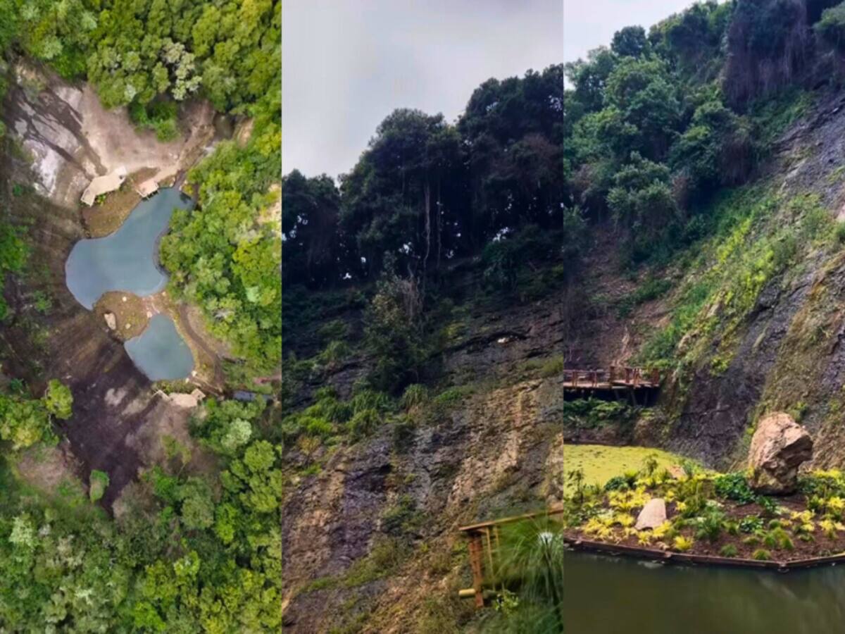 “Es como vivir en Avatar”: así es el rincón verde de un icónico parque ubicado a 90 minutos de Santiago