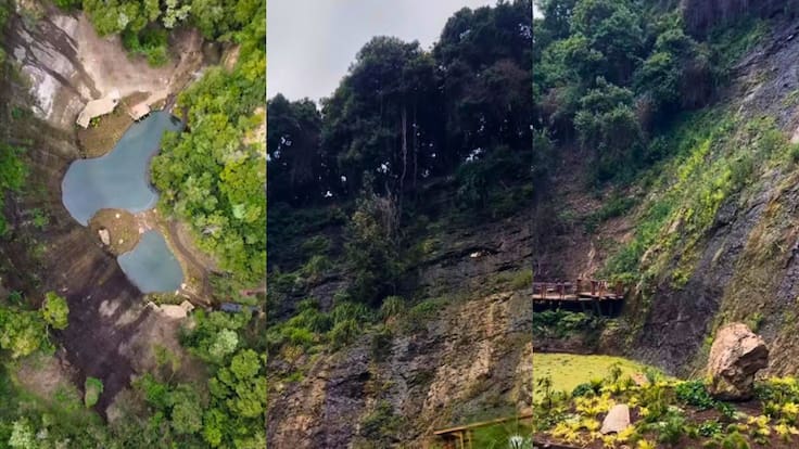 “Es como vivir en Avatar”: así es el rincón verde de un icónico parque ubicado a 90 minutos de Santiago