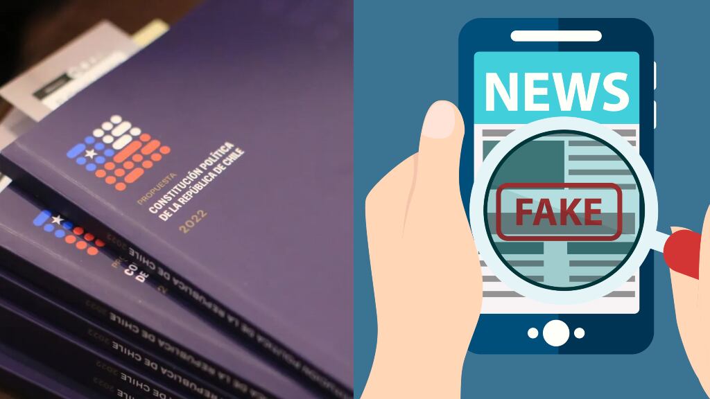 Nueva Constitución - Fake News