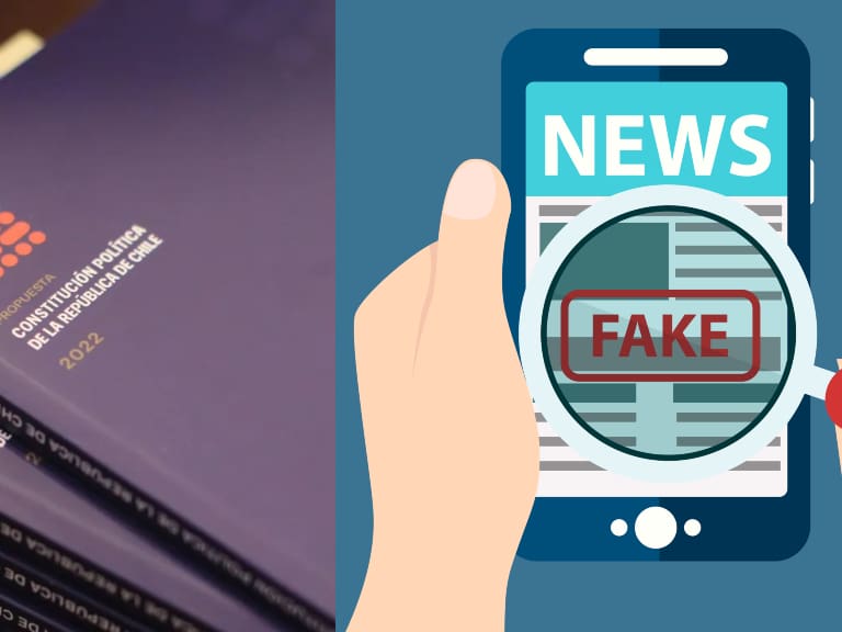 Nueva Constitución - Fake News