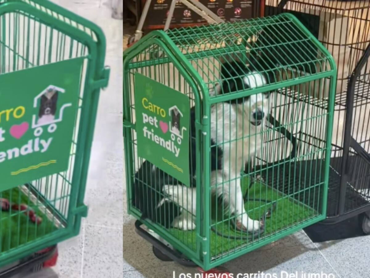 Supermercado en Chile instala carros para mascotas y genera opiniones divididas entre los usuarios