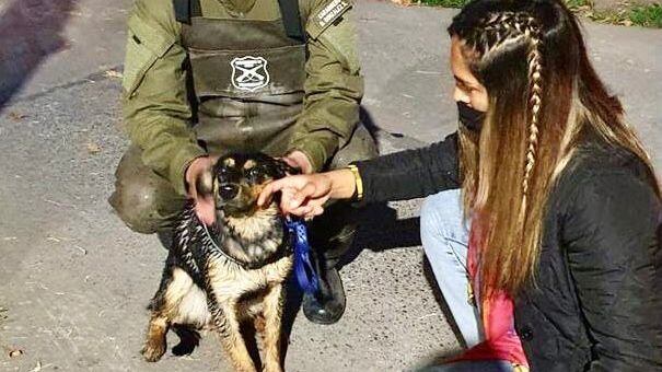 Rescate de perrito en canal San Carlos