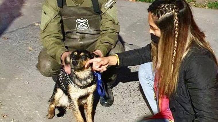 Rescate de perrito en canal San Carlos