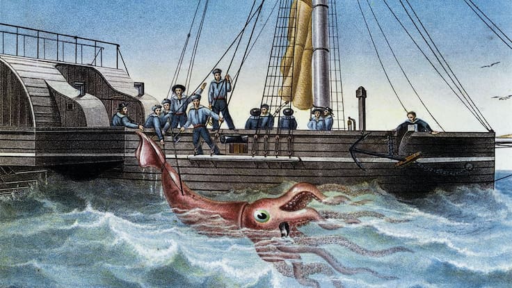 ¿El Kraken fue real? El hallazgo de un pulpo carnívoro gigante que reescribe la historia de los océanos
