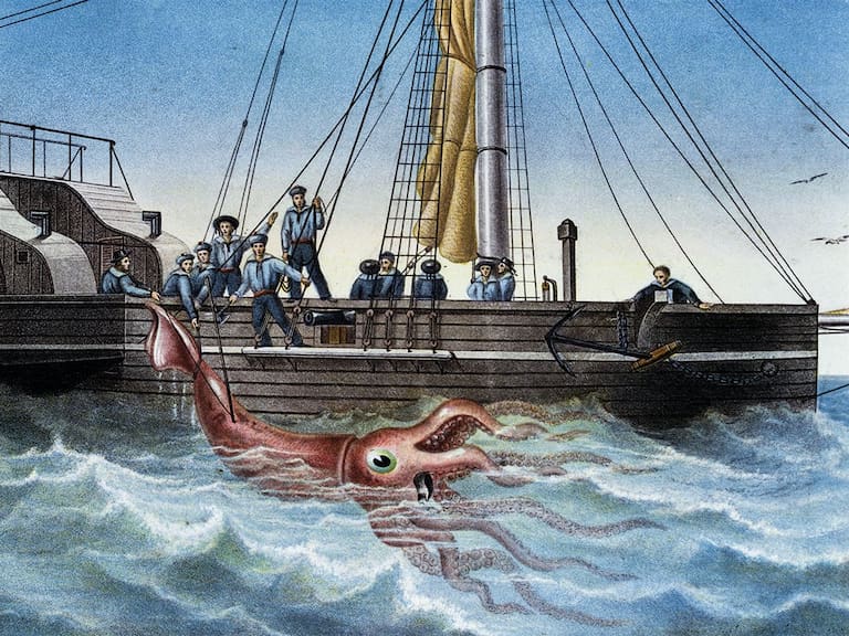 ¿El Kraken fue real? El hallazgo de un pulpo carnívoro gigante que reescribe la historia de los océanos