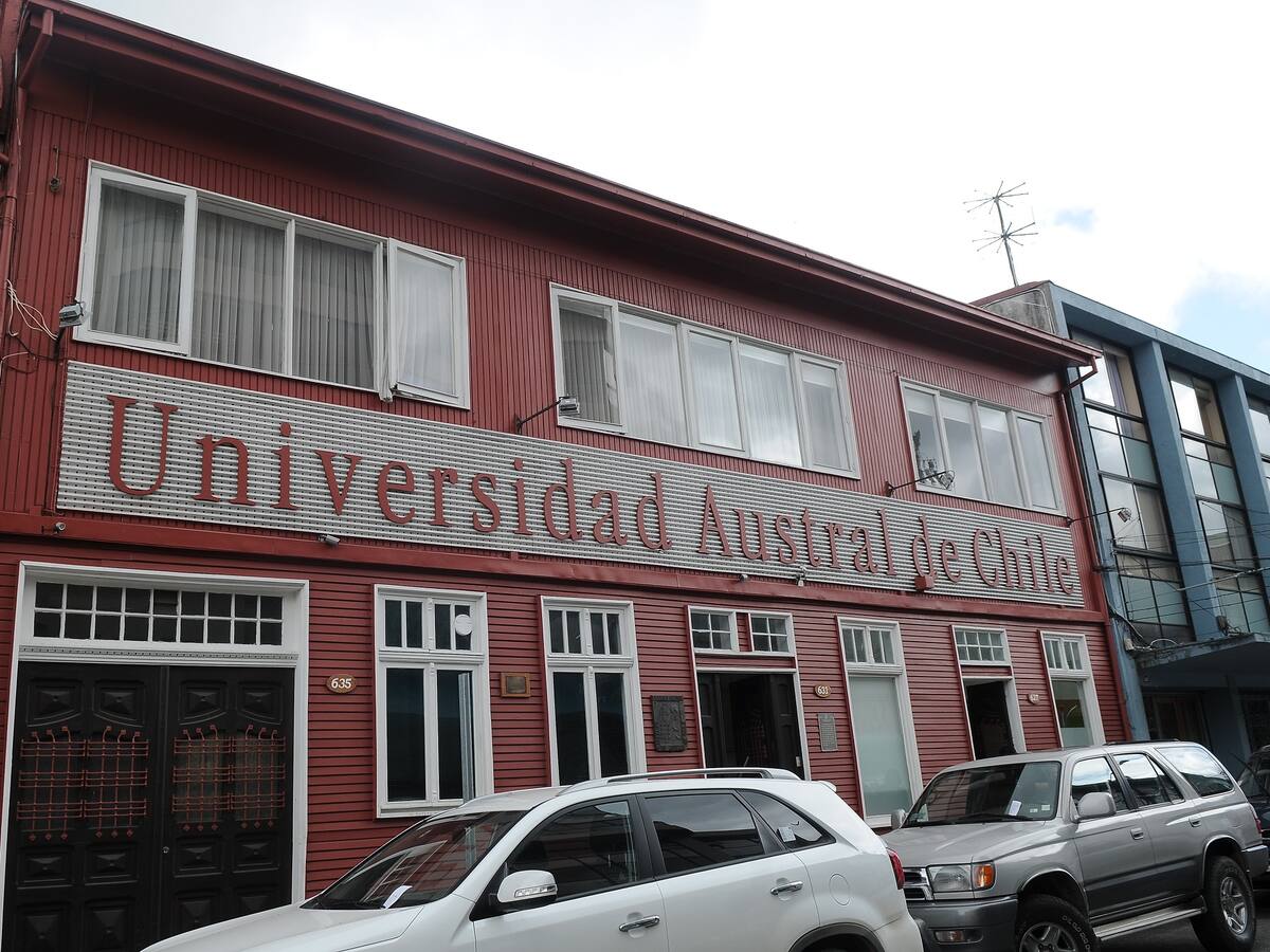 Alerta por amenazas contra comunidad estudiantil de la UACh obliga a suspender clases presenciales en campus de la universidad