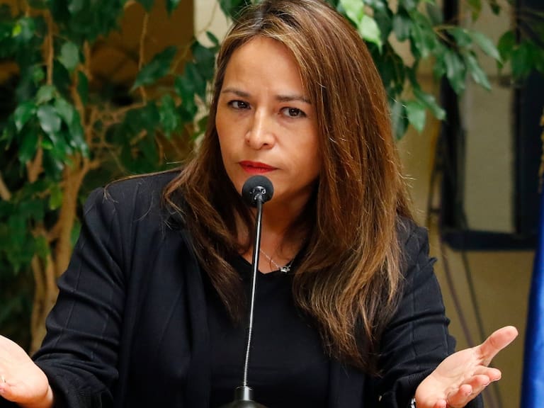 «Fue secuestrada por la izquierda»: Joanna Pérez revela motivos de su renuncia a la DC