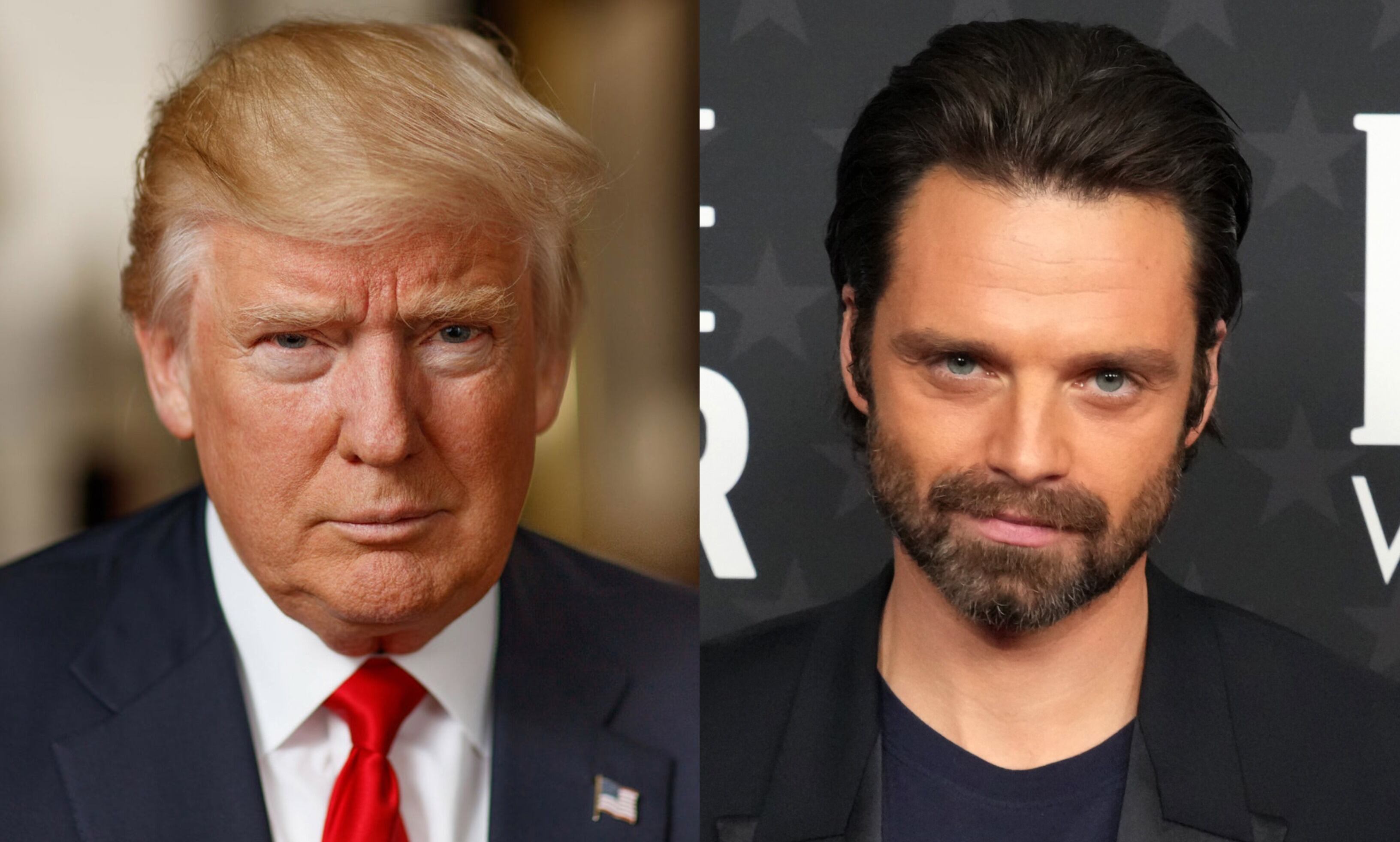 Sebastian Stan - Donald Trump.