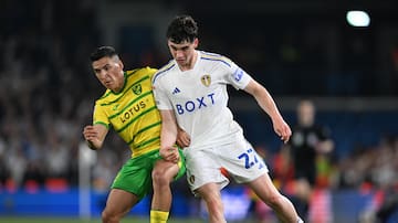 Duro golpe para Marcelino Ñúnez: Norwich es goleado y queda sin opciones de ascender a la Premier League