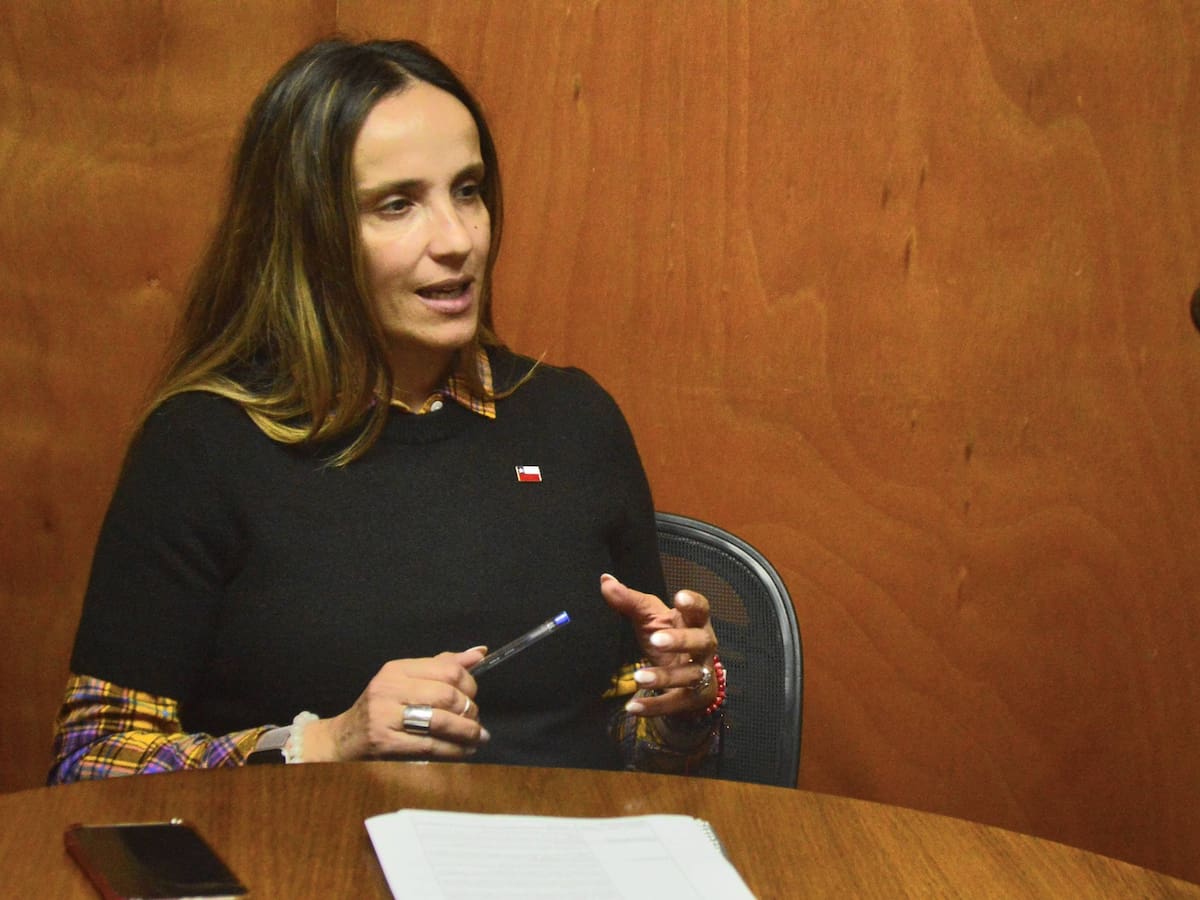 Piden renuncia de seremi de Transportes de Aysén tras protagonizar incidente en comisaría por detención de su esposo