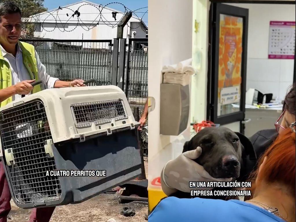 Capturas