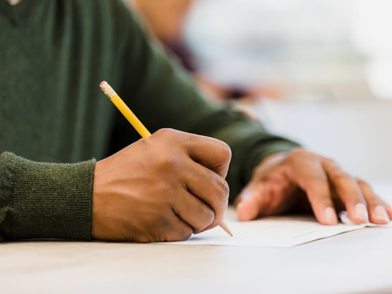 Las 20 carreras con más alumnos en la educación superior: psicología lidera el ranking