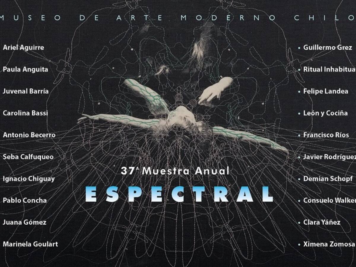 “Enfocada en lo extraño y misterioso”: “Espectral”, así es la muestra anual que estrenó el Museo de Arte Moderno de Chiloé