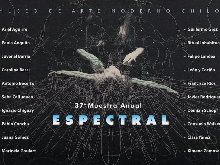 “Enfocada en lo extraño y misterioso”: “Espectral”, así es la muestra anual que estrenó el Museo de Arte Moderno de Chiloé