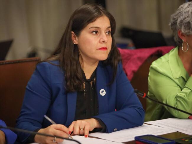 Cedida | La diputada Karen Medina