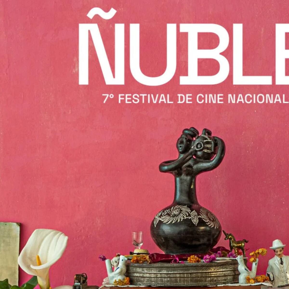Festival de Cine Nacional de Ñuble 2026: conoce las fechas y las principales películas en cartelera