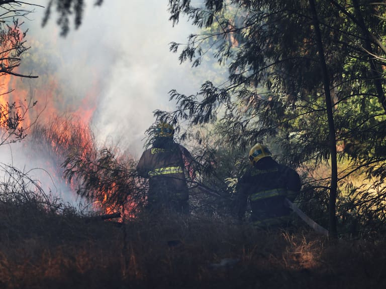 Alcalde de Curacaví confirmó que Carabineros detuvo a tres personas por incendio forestal en la comuna