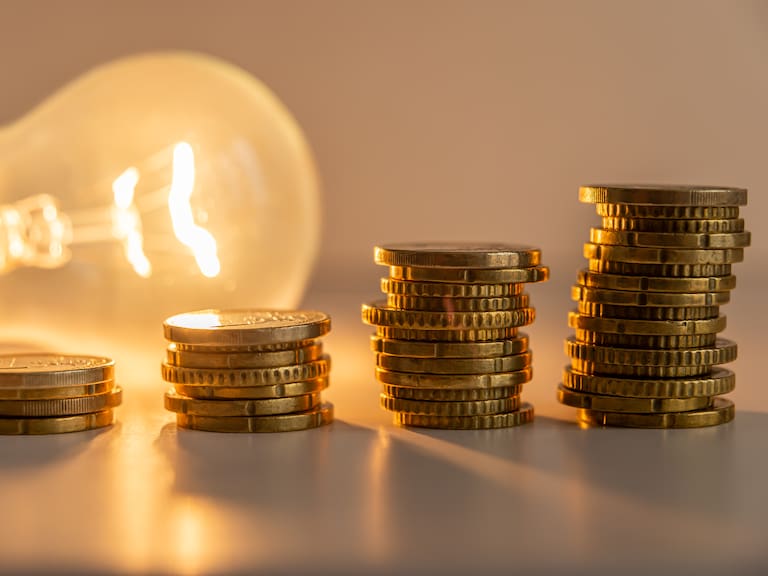 Subsidio Eléctrico 2024