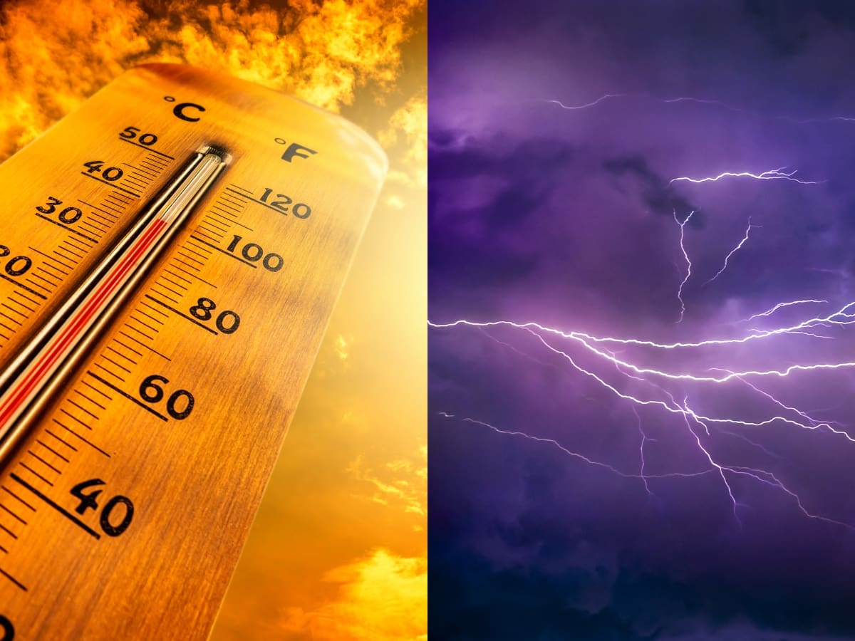 Emiten alertas por altas temperaturas, incendios y tormentas eléctricas en el sur: estas son las zonas afectadas