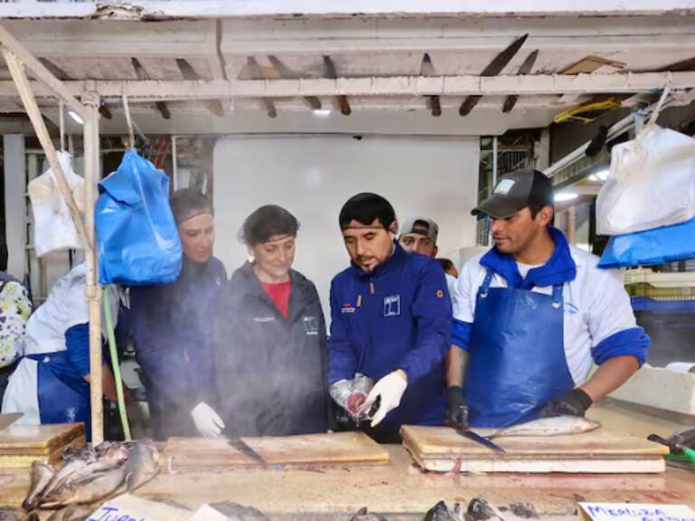Más de 10 toneladas de pescados y mariscos han sido decomisadas: ministra Aguilera realiza llamado a consumo responsable de alimentos en Semana Santa