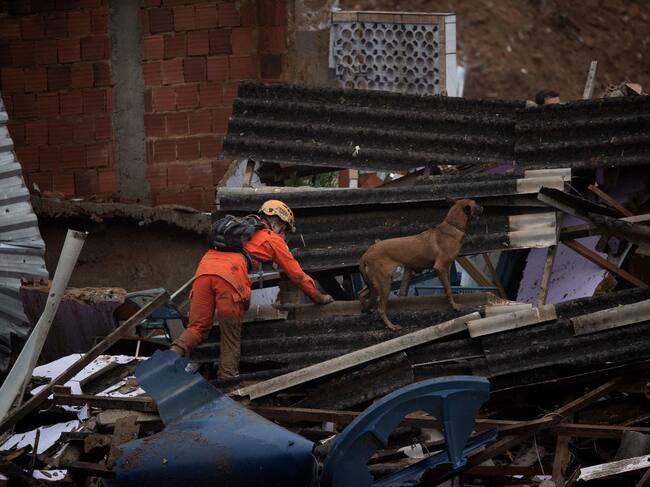 Rescatistas buscan a sobrevivientes con ayuda de perros en Petrópolis