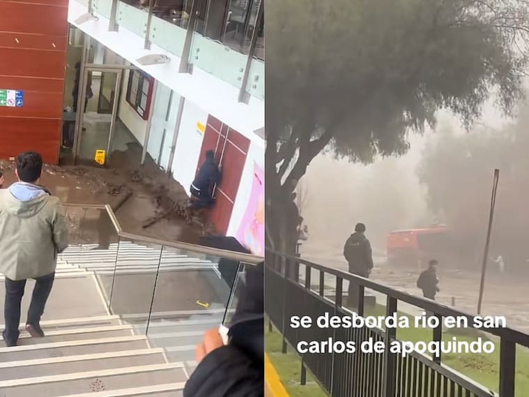 capturas