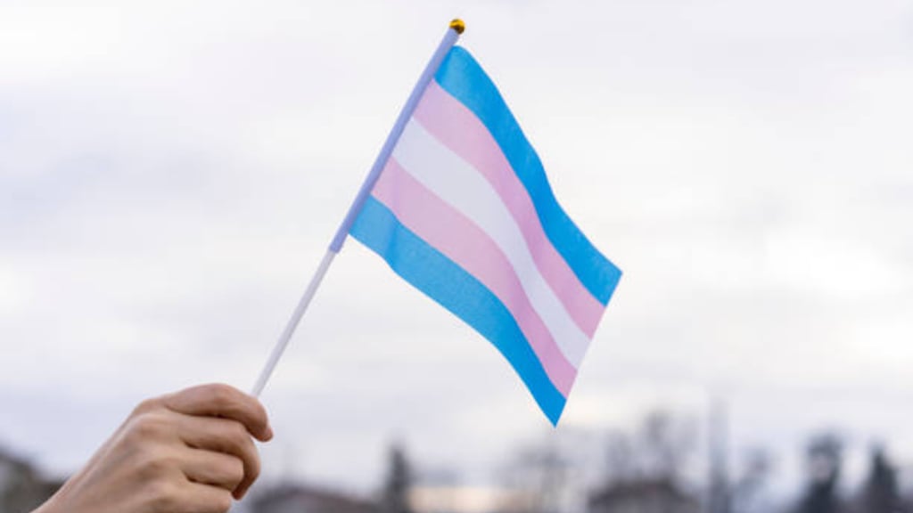 Bandera Trans - IStock