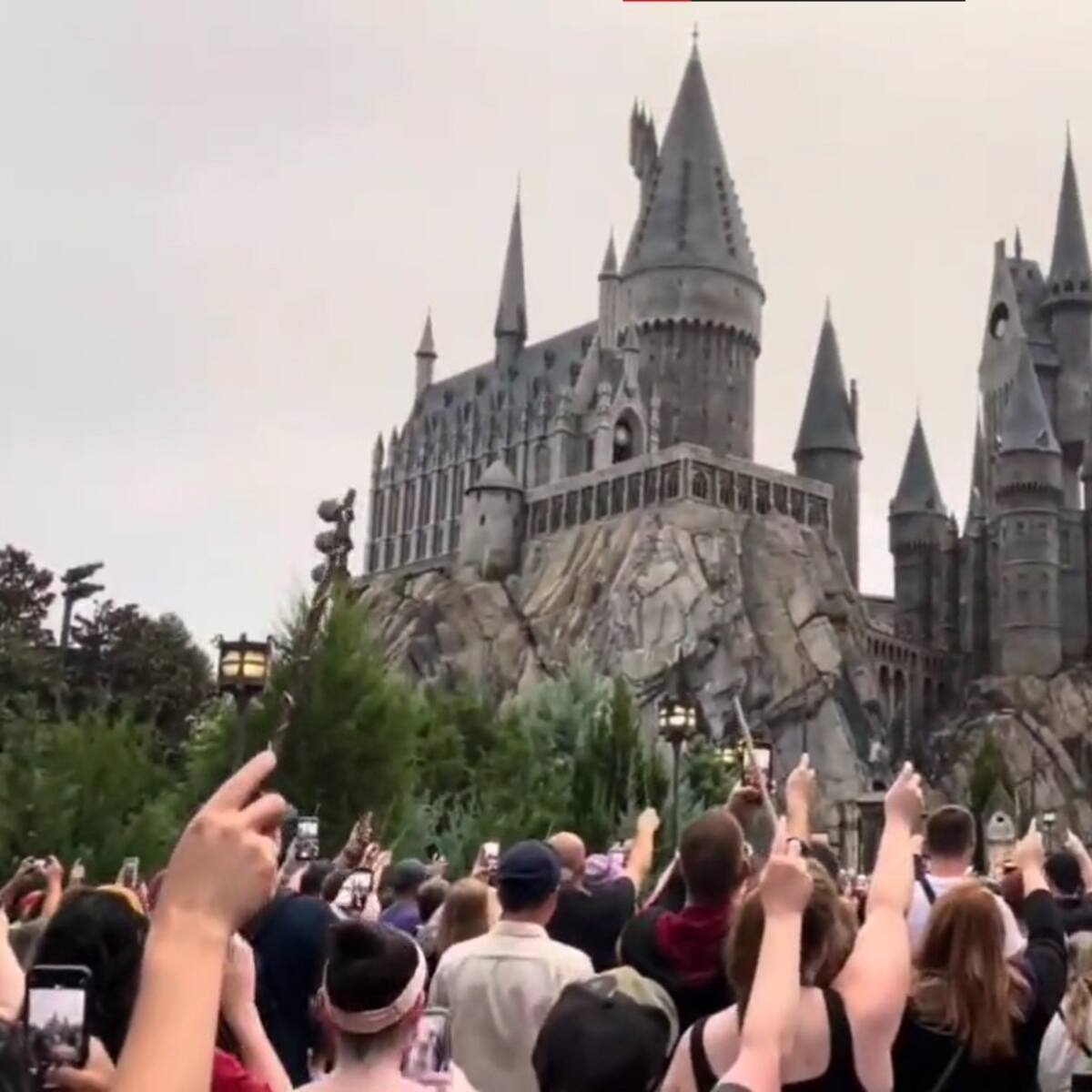 «Varitas al cielo»: El emotivo homenaje de los fanáticos de Harry Potter a Micheal Gambon en Orlando