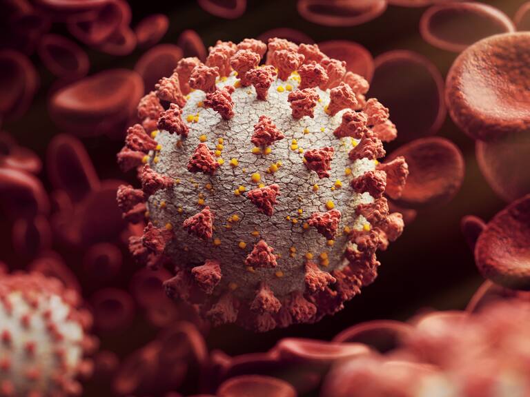 Representación del covid-19