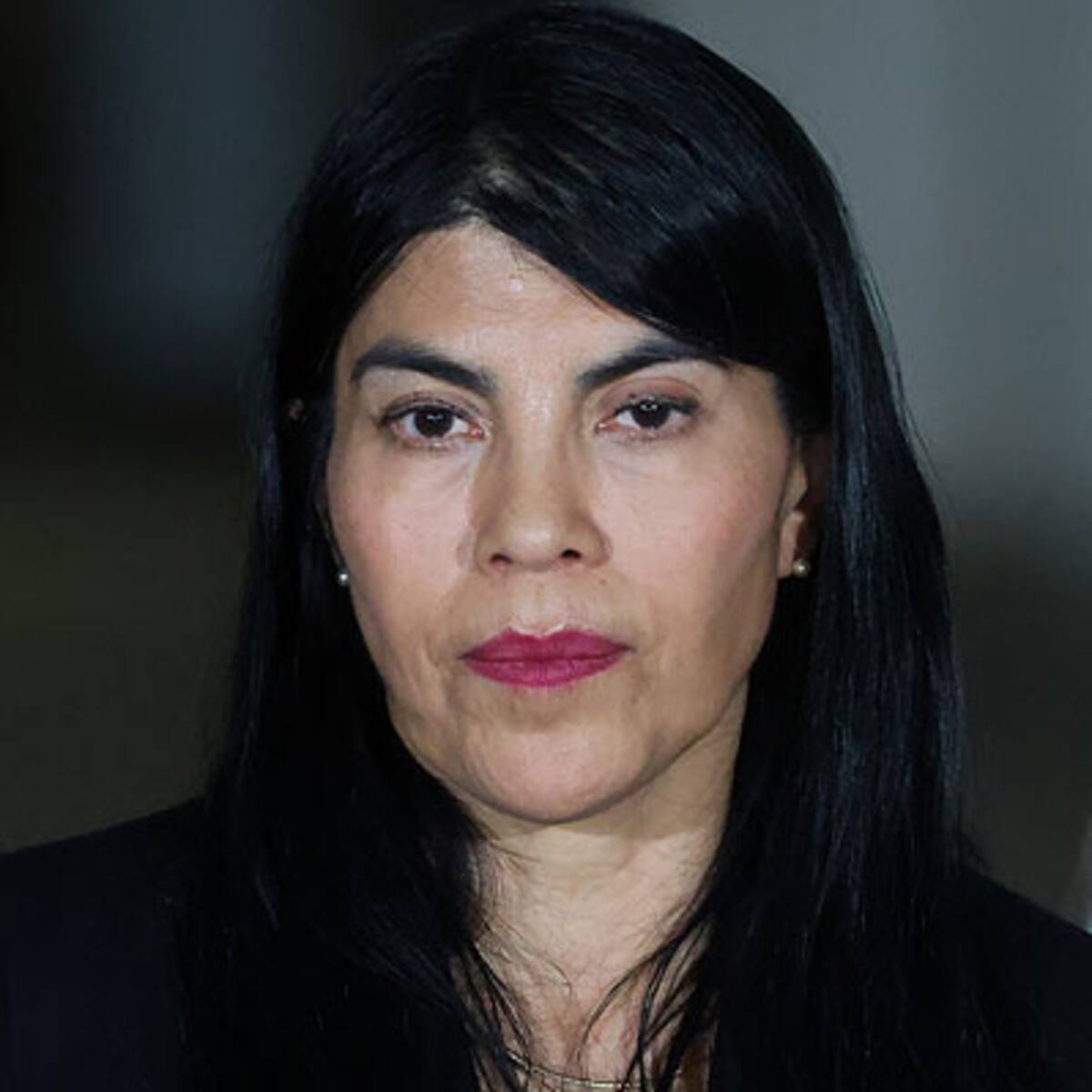 Ministra de Ciencia afirma que profesores de humanidades pueden “convertirse en vendedores o servicio al cliente” de IA