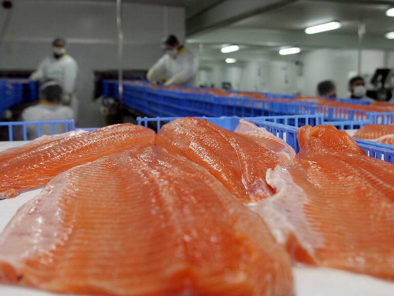 Chile suspendió los embarques de salmón a China por el coronavirus