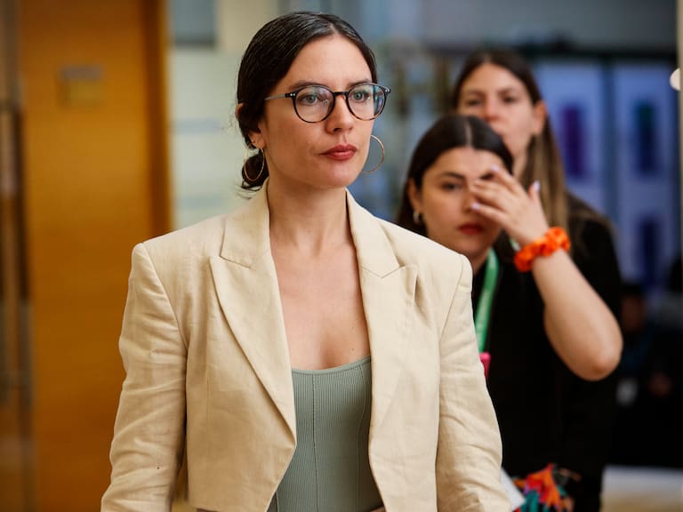 Ministra Vallejo es agredida en Rancagua