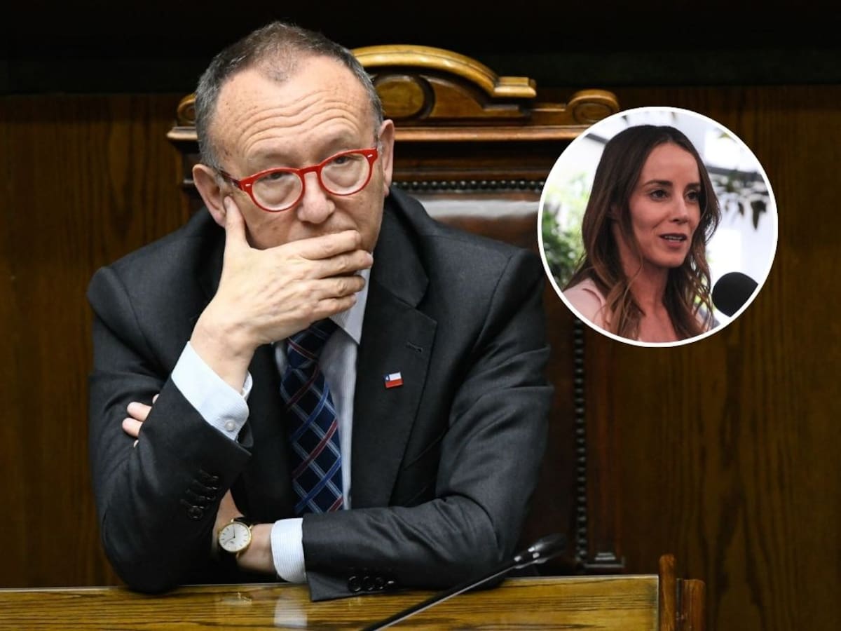 Ministro García Ruminot cuestiona a Mara Sedini tras críticas al Gobierno: “No es una buena idea”