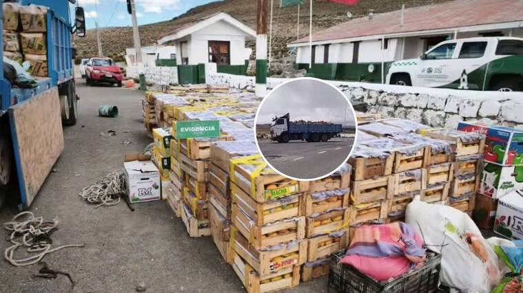 Carabineros incauta contrabando de frutas avaluado en más de $30 millones en el altiplano